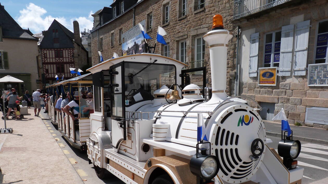 Visite de Vannes en petit train et visite du vignoble de la Presqu'île de Rhuys – Image 12