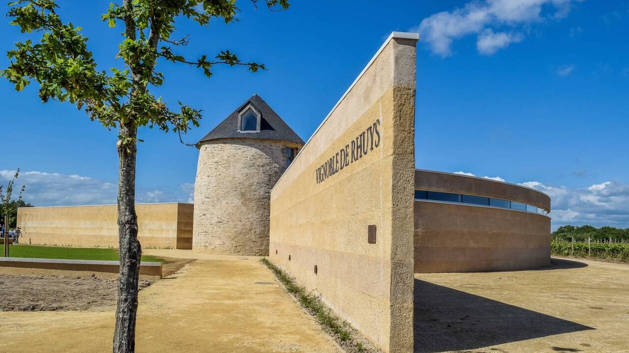 Visite de Vannes en petit train et visite du vignoble de la Presqu'île de Rhuys – Image 4