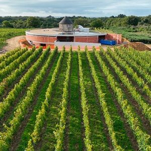 Visite de Vannes en petit train et visite du vignoble de la Presqu'île de Rhuys